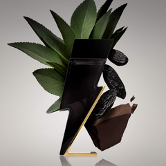 Carolina Herrera Bad Boy 100ML EDT (H)