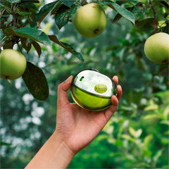 Dkny Be Delicious Manzana Verde 100ML EDP (M)